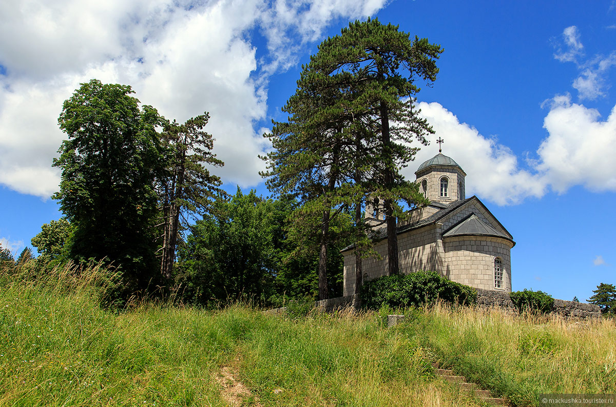 Cetinje